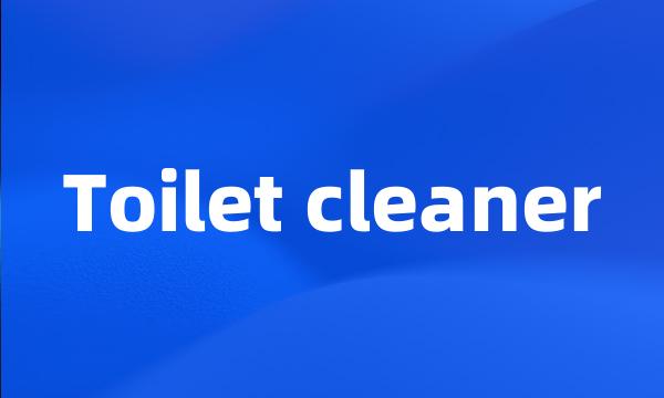 Toilet cleaner