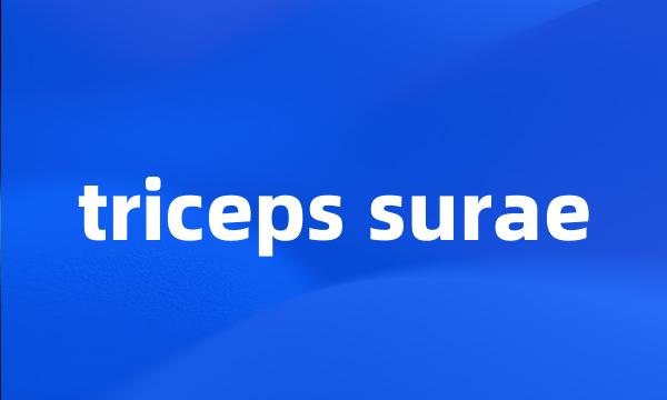 triceps surae