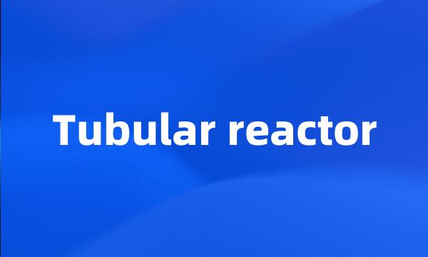 Tubular reactor