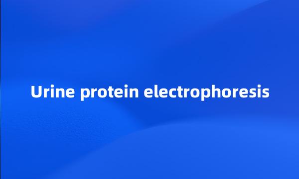 Urine protein electrophoresis