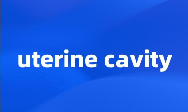 uterine cavity