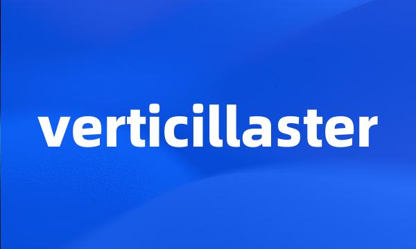 verticillaster