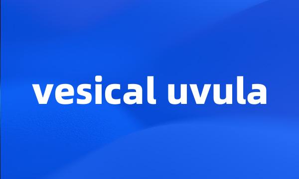 vesical uvula