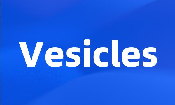 Vesicles