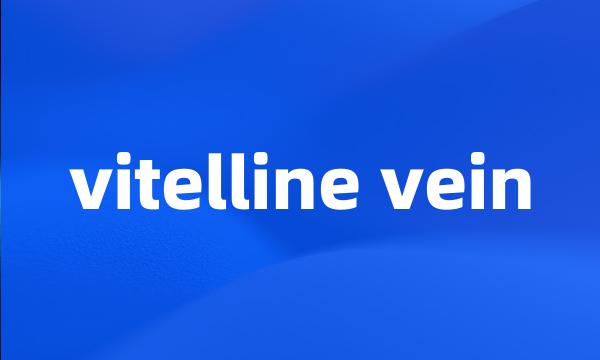 vitelline vein