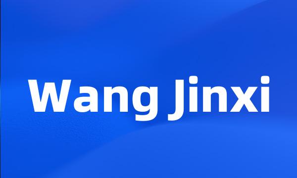 Wang Jinxi