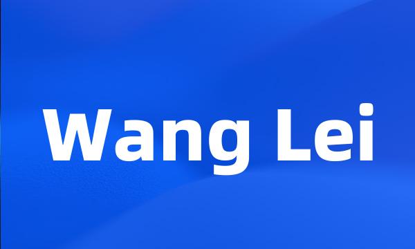 Wang Lei