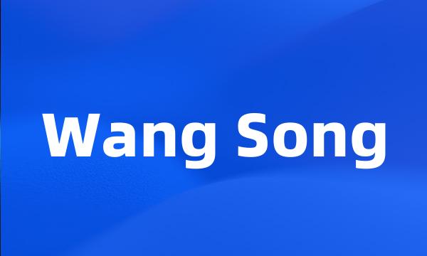 Wang Song