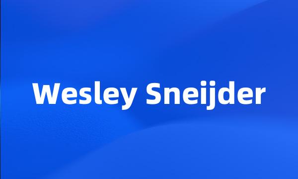 Wesley Sneijder