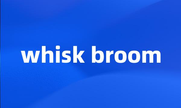 whisk broom