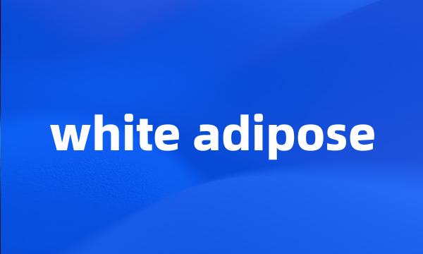 white adipose