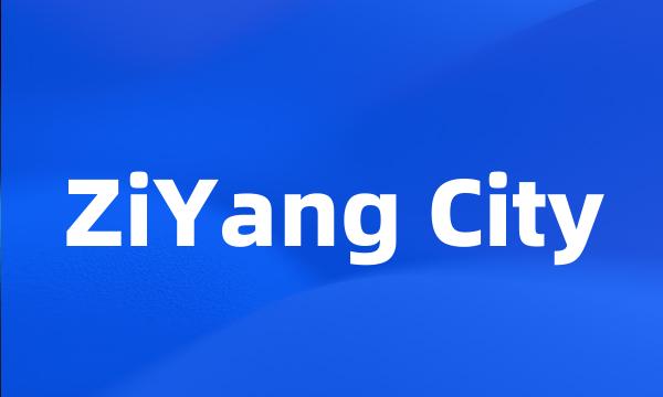 ZiYang City