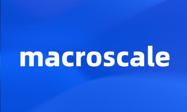 macroscale