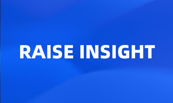 RAISE INSIGHT