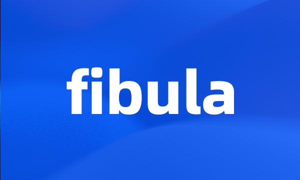 fibula