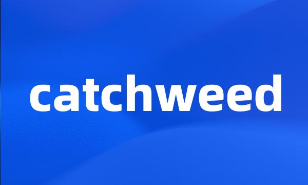 catchweed