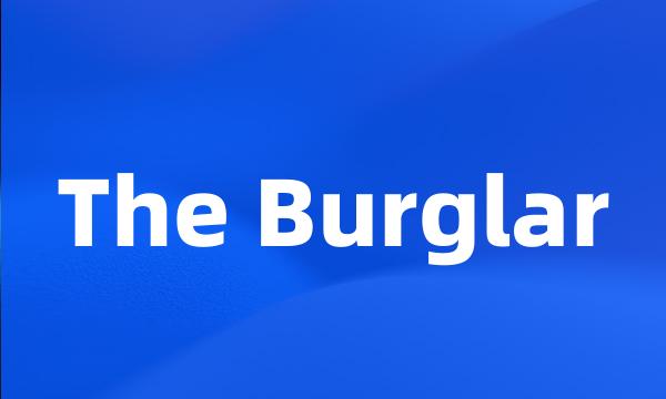 The Burglar