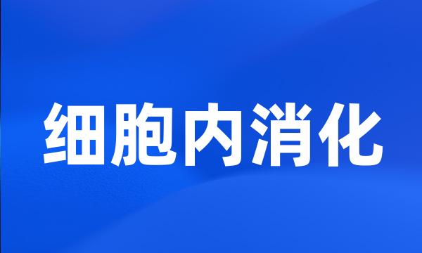 细胞内消化