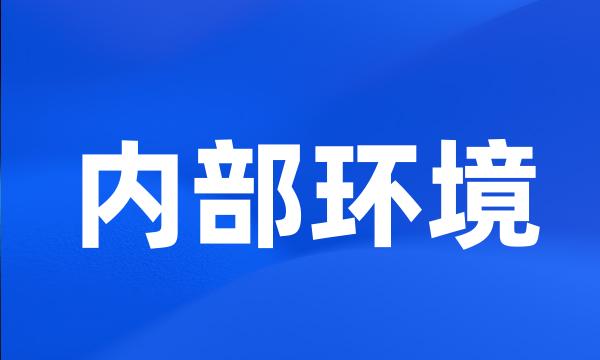 内部环境