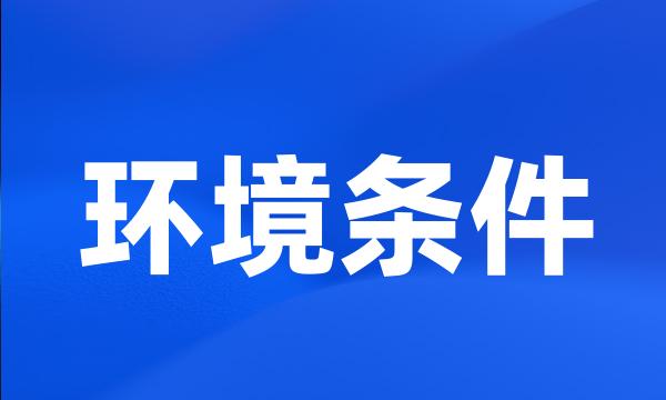 环境条件