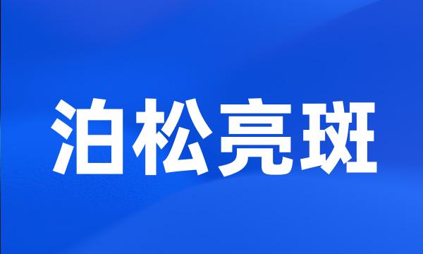 泊松亮斑