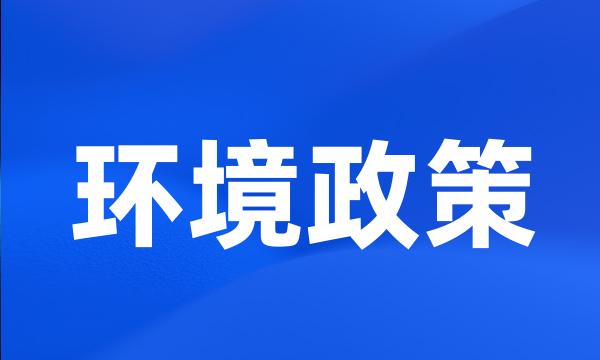 环境政策