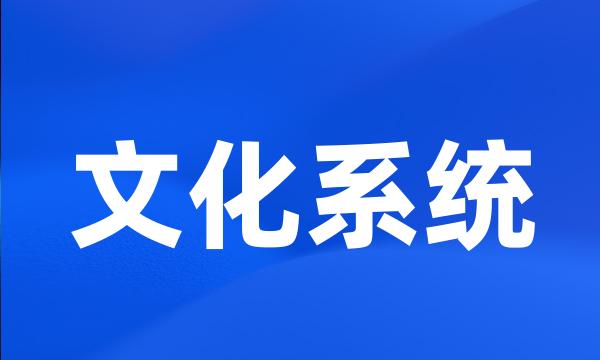 文化系统