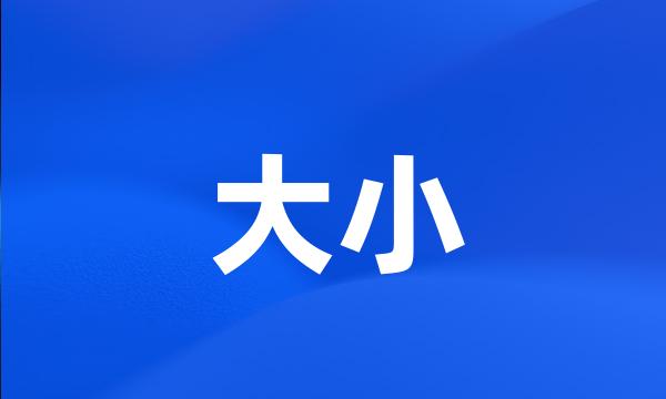 大小