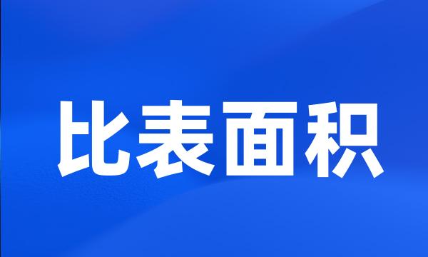 比表面积