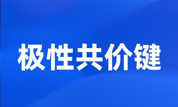 极性共价键