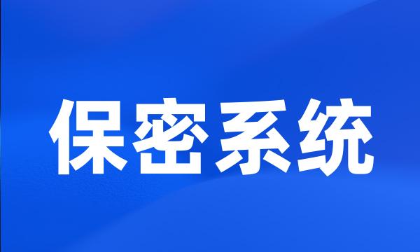 保密系统