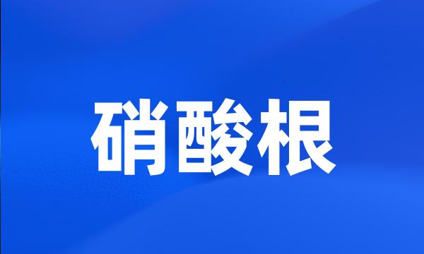 硝酸根