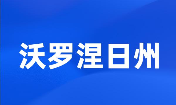 沃罗涅日州