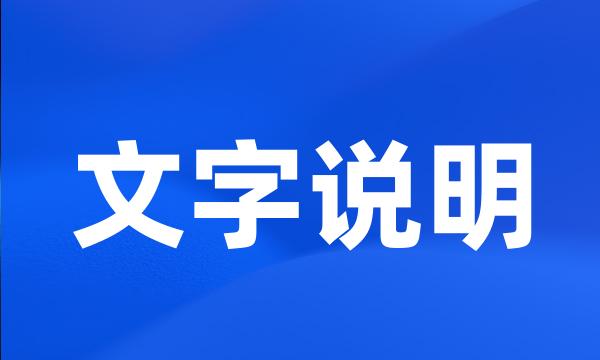 文字说明