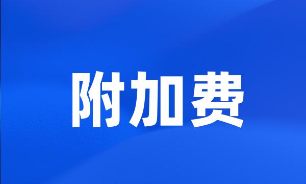 附加费