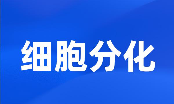 细胞分化