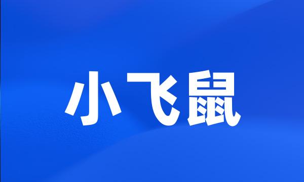 小飞鼠