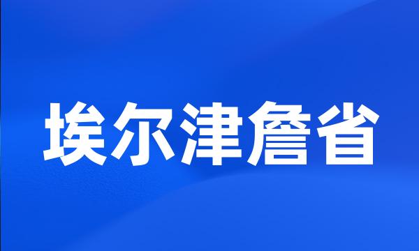 埃尔津詹省