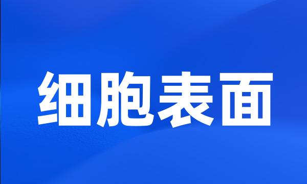 细胞表面