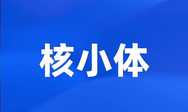 核小体