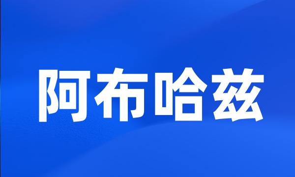 阿布哈兹