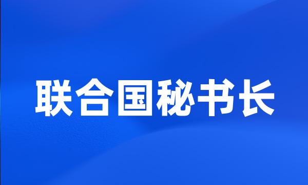 联合国秘书长