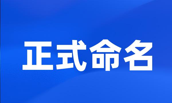 正式命名