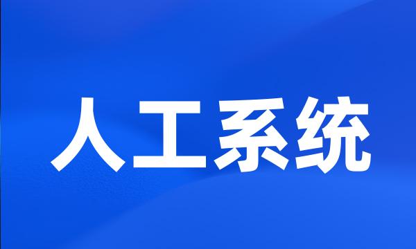 人工系统