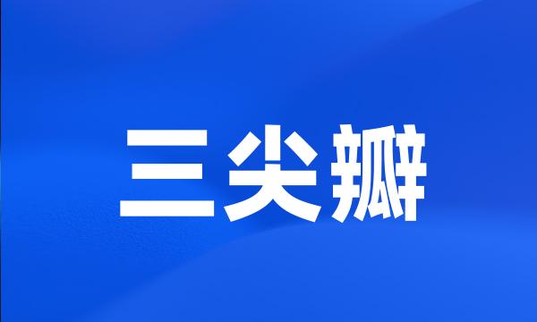 三尖瓣