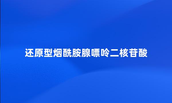 还原型烟酰胺腺嘌呤二核苷酸