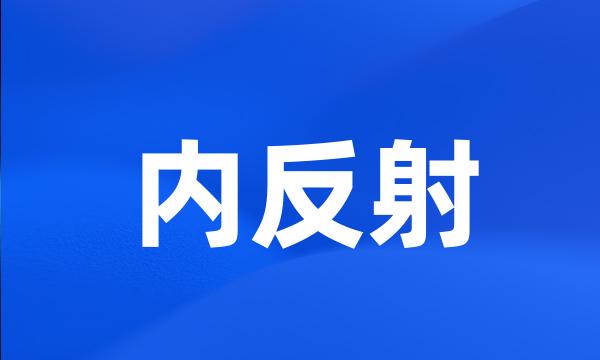 内反射