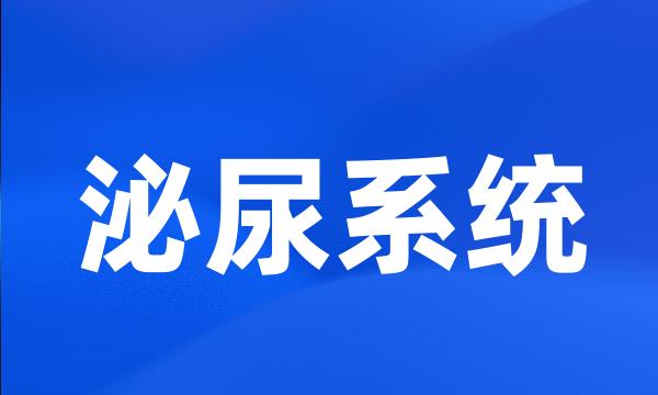 泌尿系统