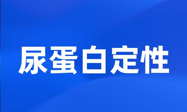 尿蛋白定性