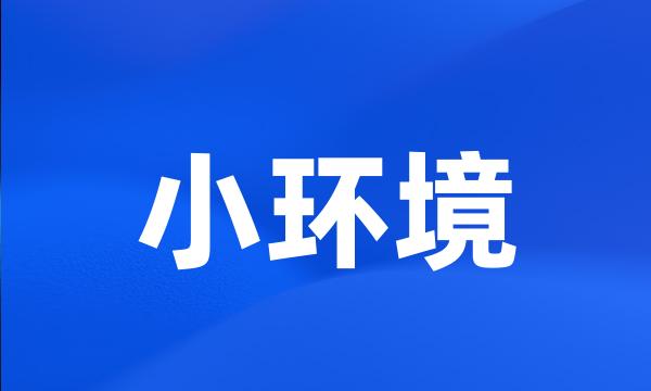 小环境